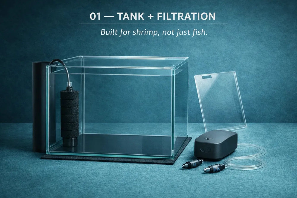 Tank and Filtration